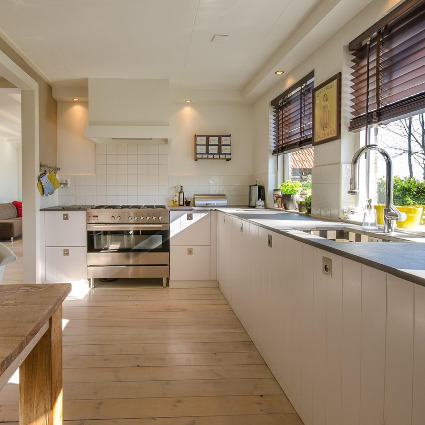Pest Control Kitchen