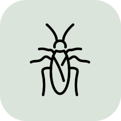 Pest Control icon