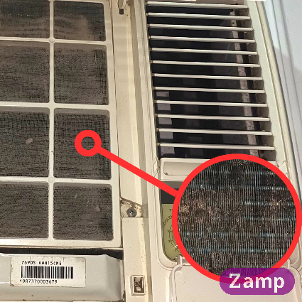 What's living on your aircon evaporator coils?