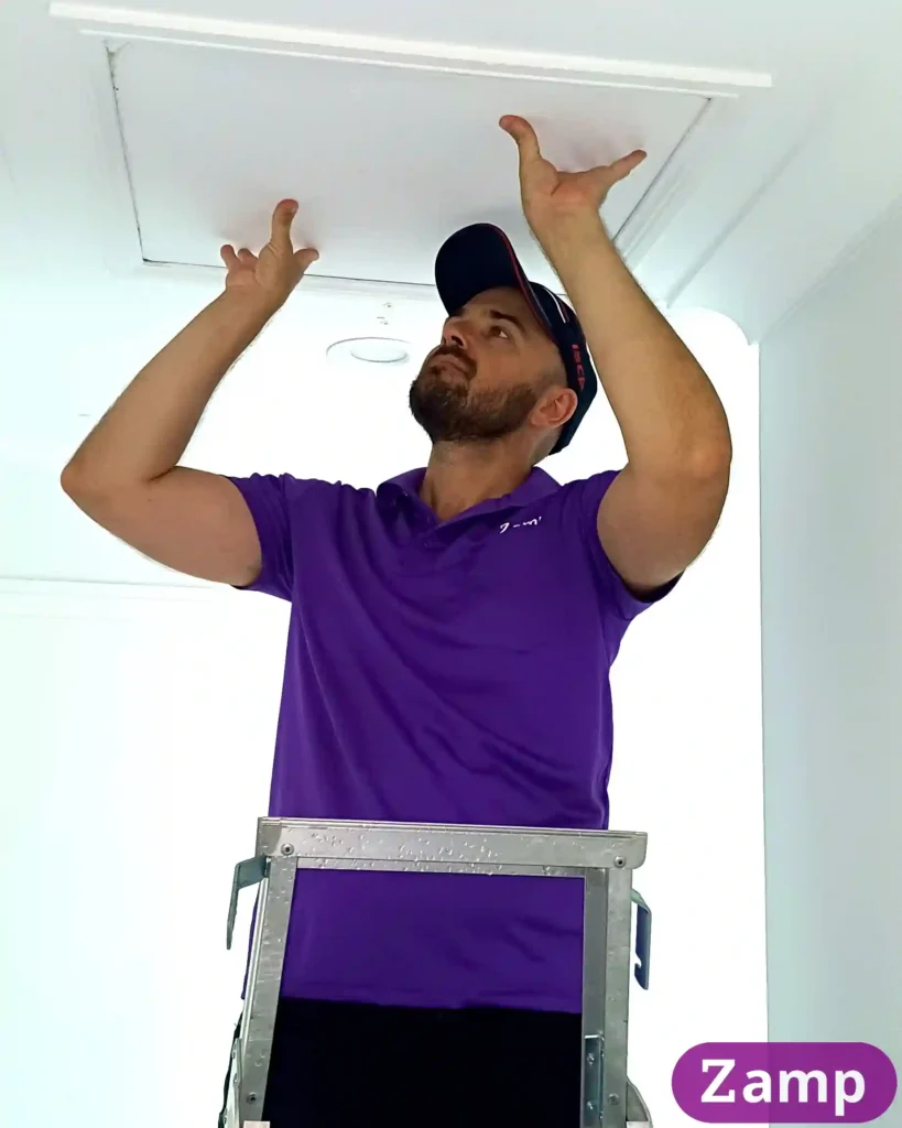Dale accessing ceiling void to inspect for rats