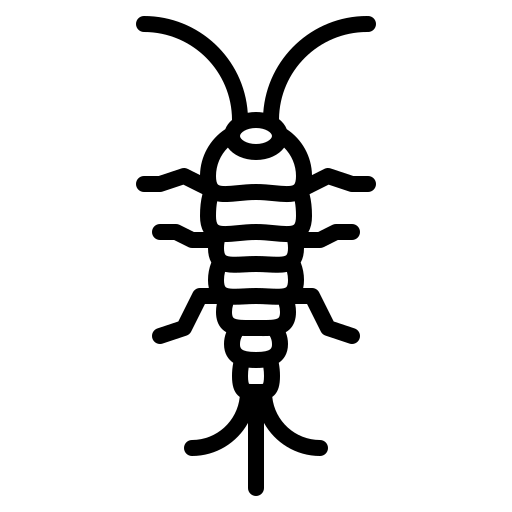 Generic image of a silverfish.