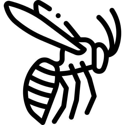 Generic image of a wasp